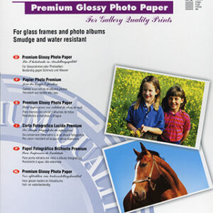 C13S041315ICE_.jpg EPSON CARTA FOTOGRAFICA LUCIDA PREMIUM FORMATO A3 (20 FOGLI)