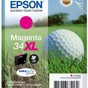 C13T34734010ICE_.jpg EPSON CART. INK MAGENTA 34XL SERIE PALLINA DA GOLF