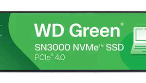 WESTERN DIGITAL SSD GREEN 500GB SN3000 M.2 NVME